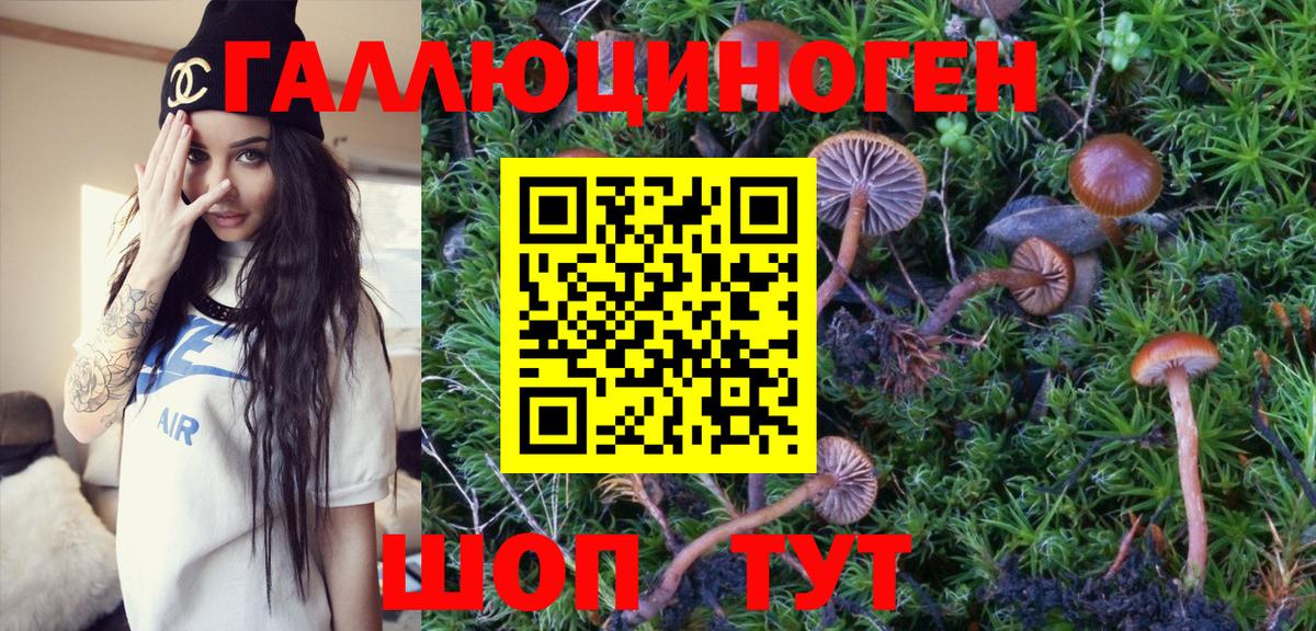 Галлюциногенные грибы Magic Shrooms  Вход с VPN  Псилоцибиновые грибы мухоморы  Симферополь 